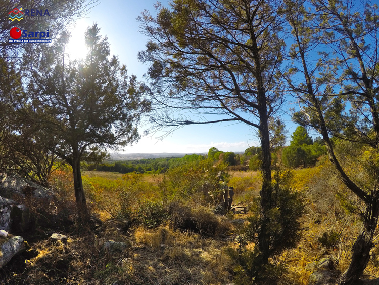 Terreno agricolo alle porte di Arzachena