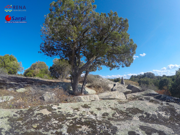 Terreno agricolo alle porte di Arzachena