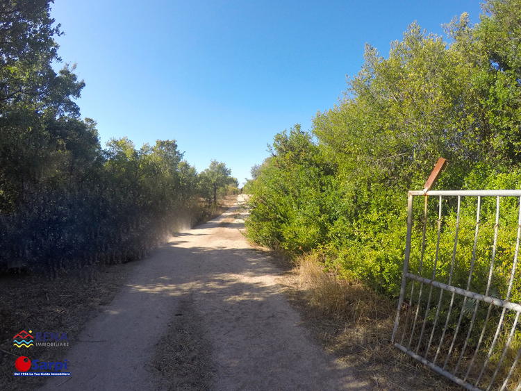 Terreno agricolo alle porte di Arzachena