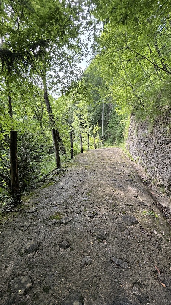 Vendesi casa indipendente ad Alzano Lombardo (BG).