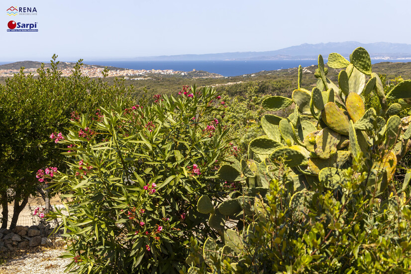 Villa indipendente con dependance e splendida vista mare – Santa Teresa Gallura