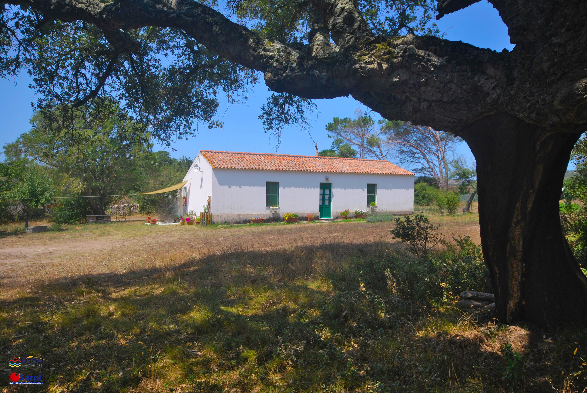 Tipico stazzo gallurese con terreno  – Tempio Pausania