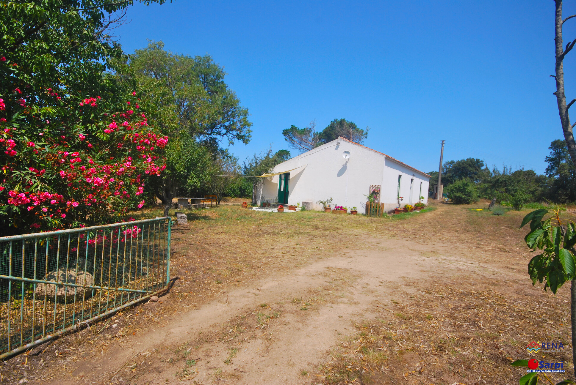 Tipico stazzo gallurese con terreno  – Tempio Pausania