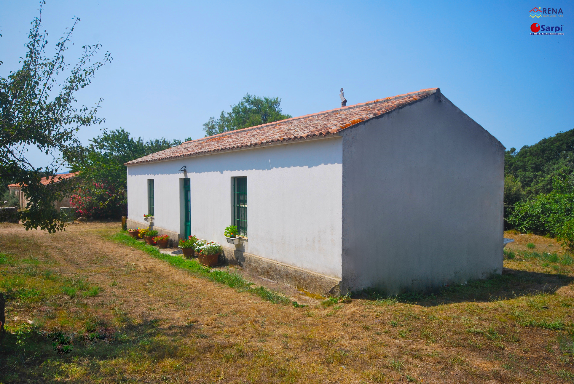 Tipico stazzo gallurese con terreno  – Tempio Pausania