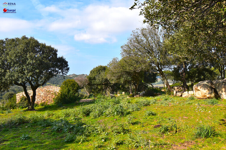 Interessante fabbricato con terreno  – Trinità d’Agultu e Vignola