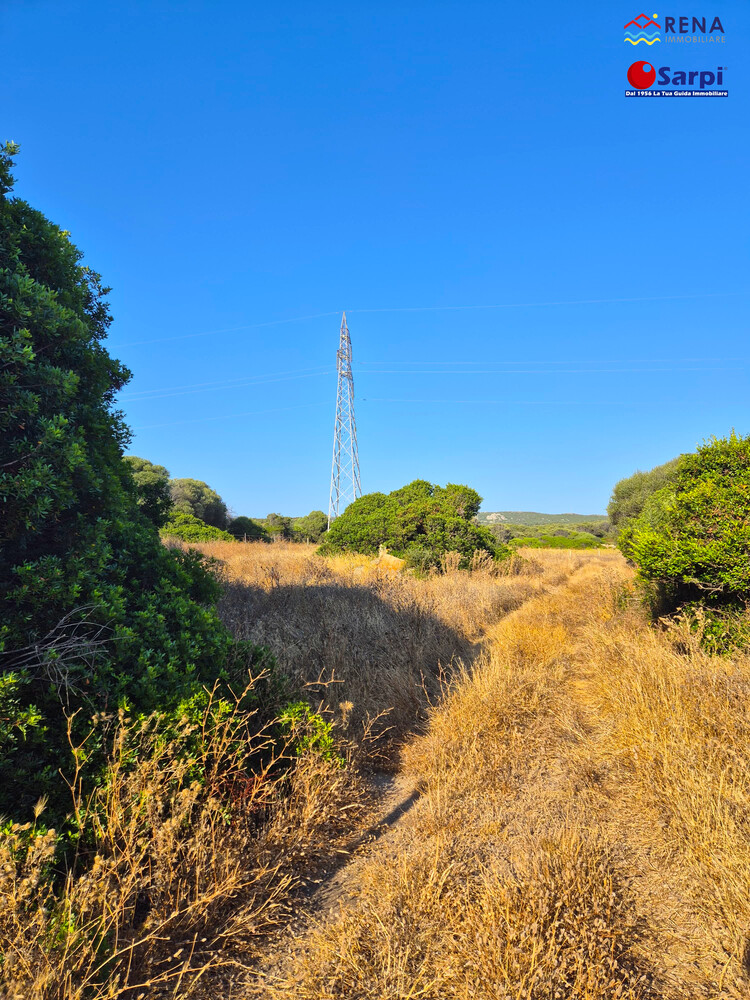 Terreno agricolo in ottima posizione – Santa Teresa Gallura