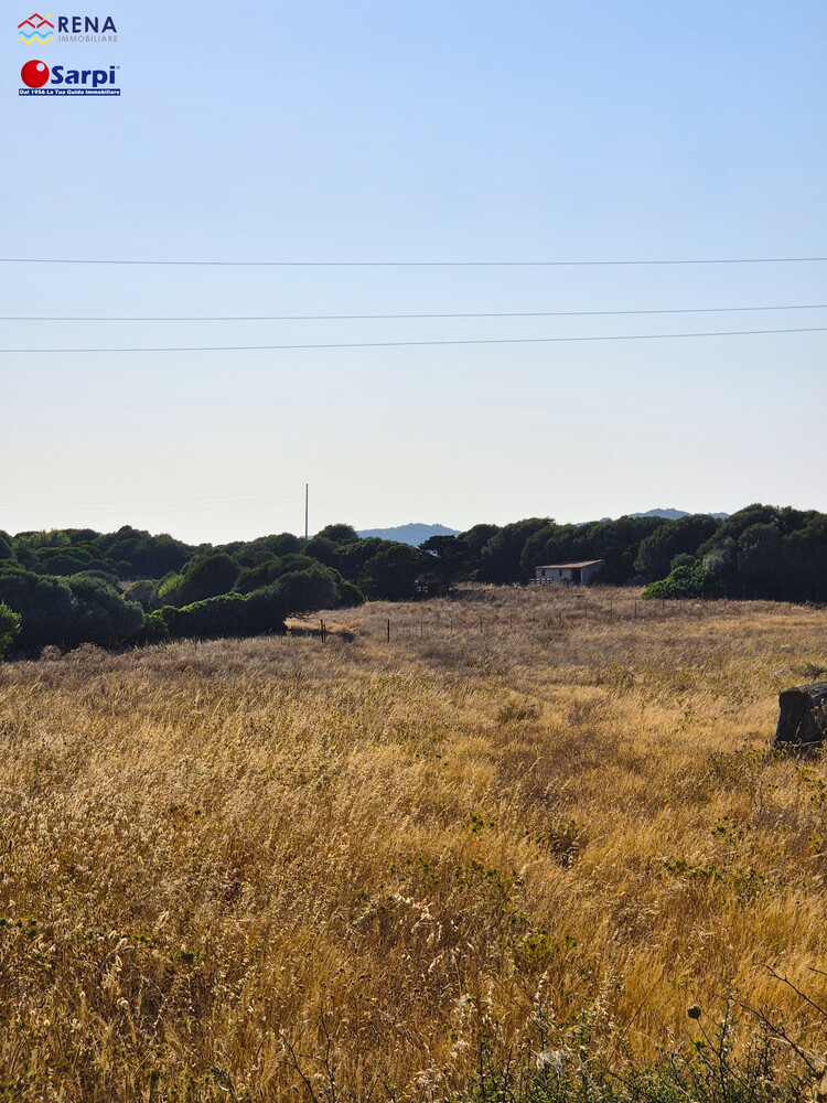 Terreno agricolo in ottima posizione – Santa Teresa Gallura