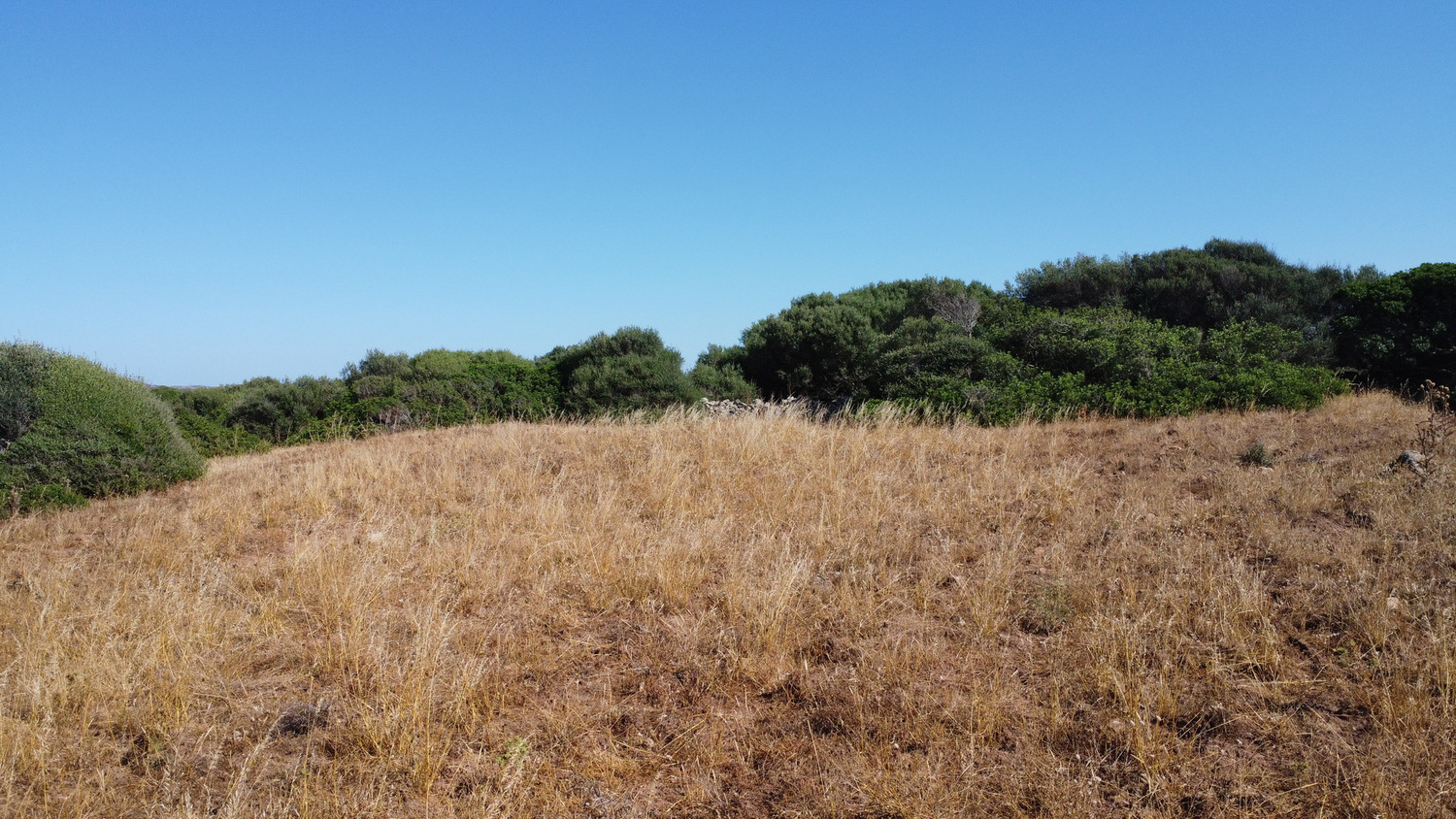 Terreno agricolo in ottima posizione – Santa Teresa Gallura Terreno agricolo in ottima posizione – Santa Teresa Gallura
