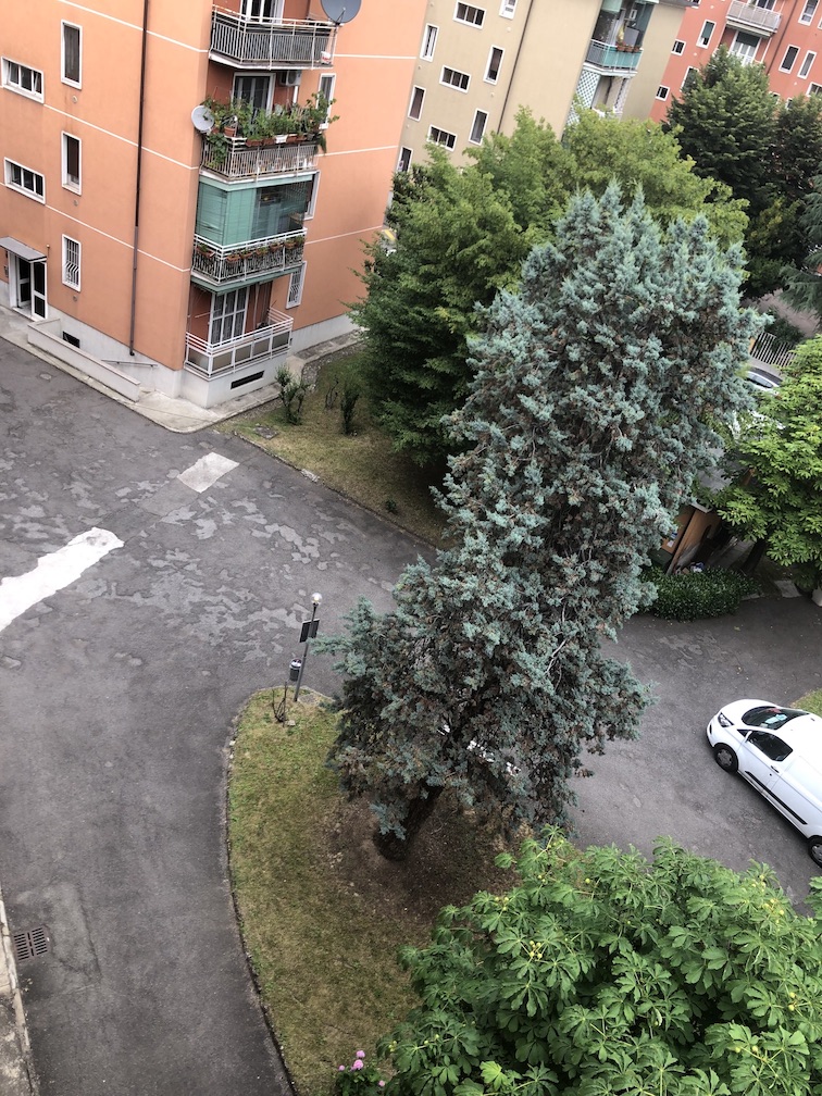 Affittasi stanza via Lorenteggio, Milano. Affittasi stanza via Lorenteggio, Milano.