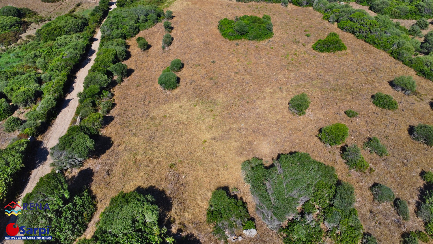 Terreno agricolo in ottima posizione – Santa Teresa Gallura Terreno agricolo in ottima posizione – Santa Teresa Gallura