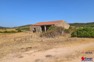 Interessante stazzo da ristrutturare con terreno – Trinità d’Agultu e Vignola Interessante stazzo da ristrutturare con terreno – Trinità d’Agultu e Vignola