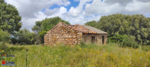 Interessante tenuta con tre stazzi galluresi –... Interessante tenuta con tre stazzi galluresi –...