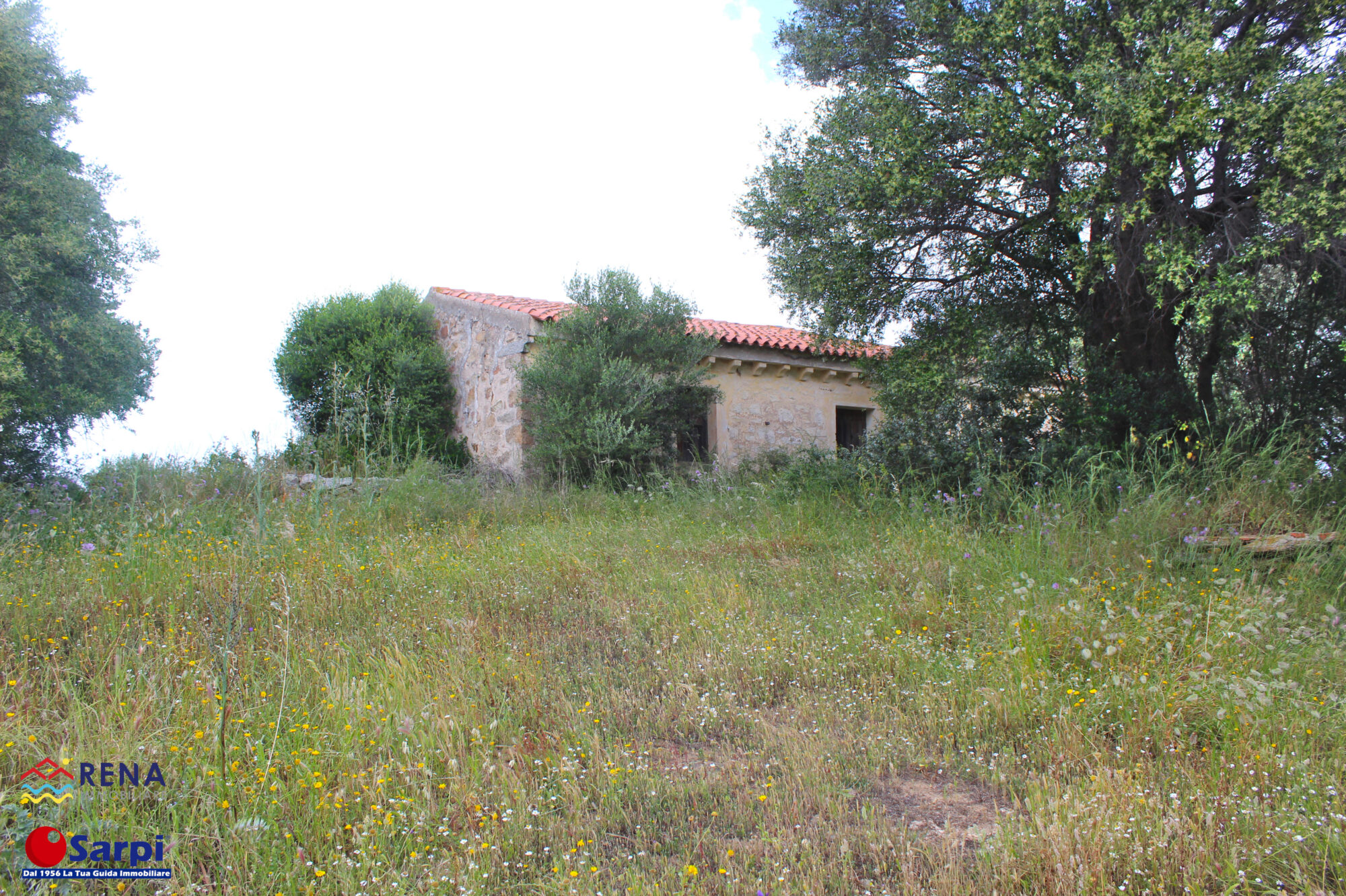 Interessante tenuta con tre stazzi galluresi – Luogosanto Interessante tenuta con tre stazzi galluresi – Luogosanto