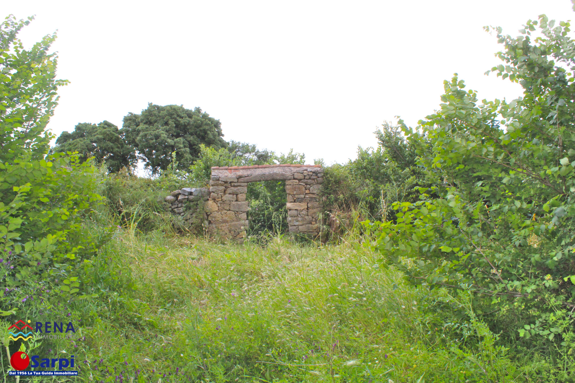 Interessante stazzo con ampio terreno – Luogosanto