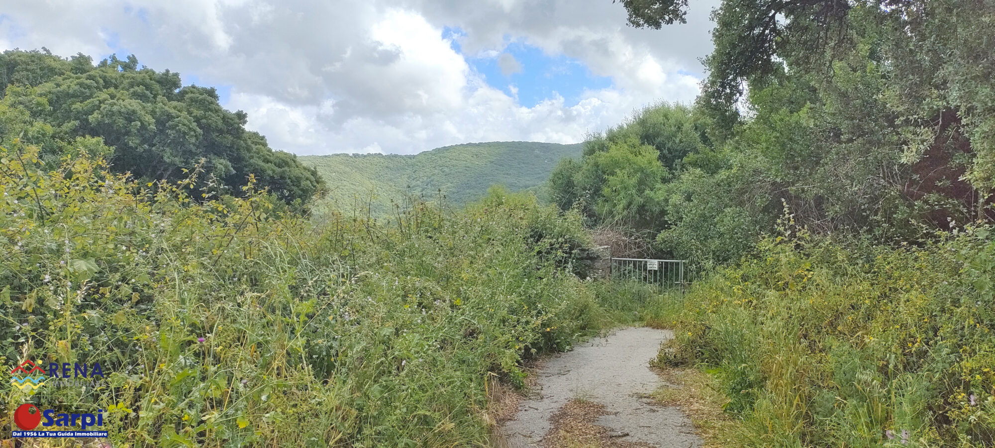 Interessante stazzo con ampio terreno – Luogosanto