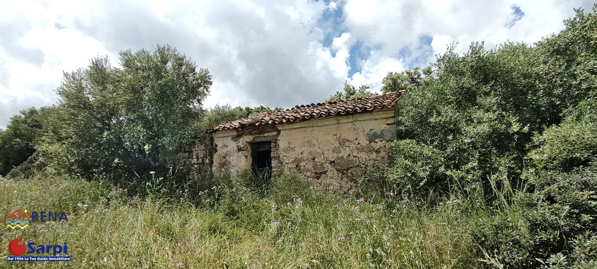 Interessante tenuta con tre stazzi galluresi – Luogosanto Interessante tenuta con tre stazzi galluresi – Luogosanto