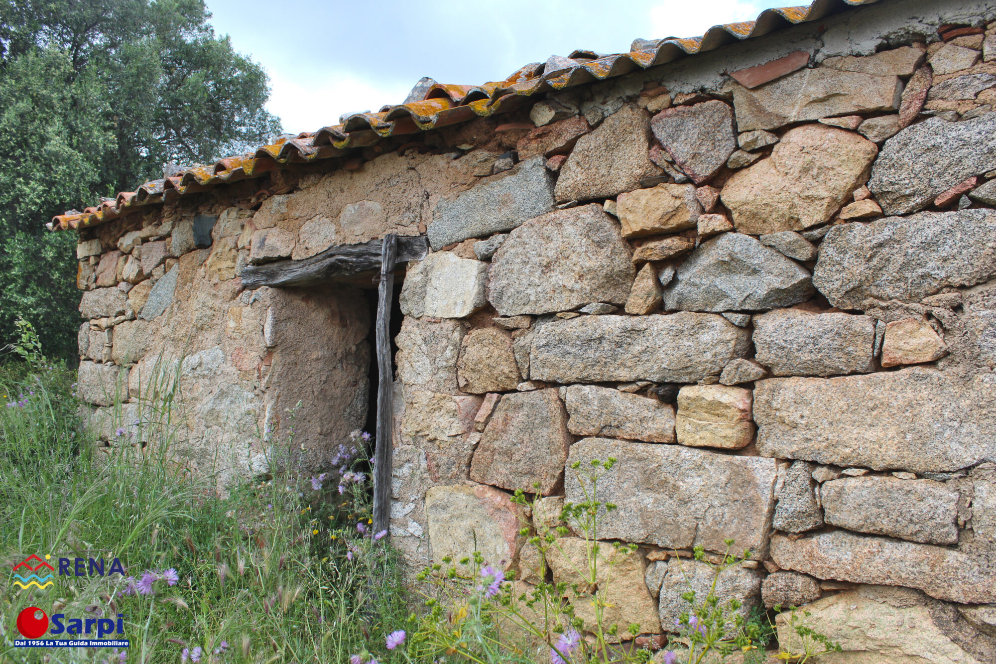 Interessante tenuta con tre stazzi galluresi – Luogosanto Interessante tenuta con tre stazzi galluresi – Luogosanto