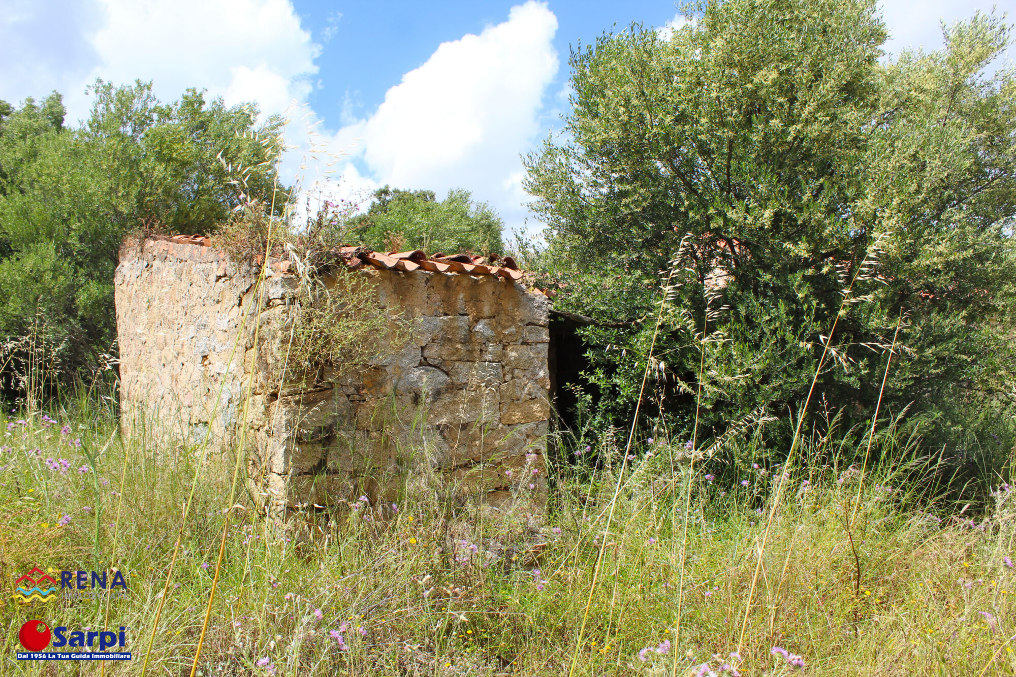 Interessante tenuta con tre stazzi galluresi – Luogosanto Interessante tenuta con tre stazzi galluresi – Luogosanto